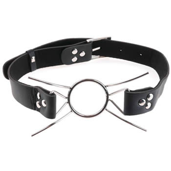 Fetish Fantasy Extreme Metal Spider Gag